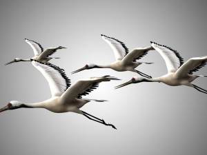 realistic low poly rigged crane Modello 3D