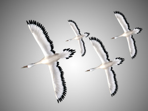 realistic low poly rigged crane 3D 모델