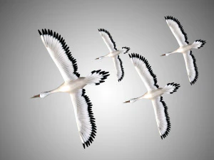 realistic low poly rigged crane 3D Model