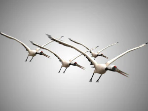 realistic low poly rigged crane 3D Model