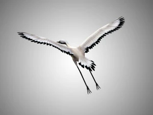 realistic low poly rigged crane 3D Model