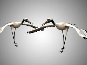 realistic low poly rigged crane 3D Model