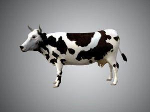realistic low poly rigged cow 3D 模型