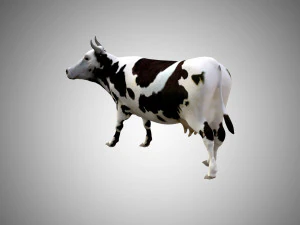 realistic low poly rigged cow 3D Model