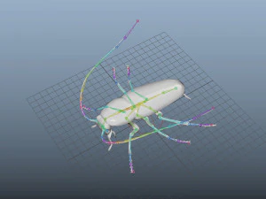 low poly rigged cockroach 3D Model