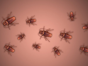 low poly rigged cockroach 3D 模型