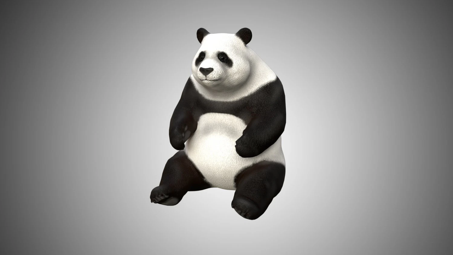 low poly rigged panda 3D Model .c4d .max .obj .3ds .fbx .stl .blend 
