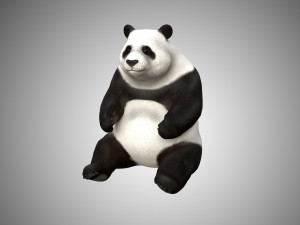 low poly rigged panda Model 3D