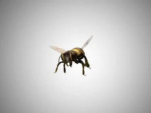 bee low poly rigged game ready 3D Model