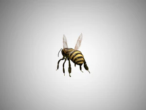 bee low poly rigged game ready 3D Model