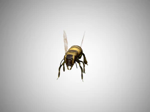 bee low poly rigged game ready 3D Model