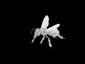 bee low poly rigged game ready Model 3D