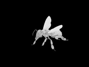 bee low poly rigged game ready 3D Model