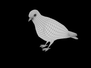 pigeon low poly rigged game ready 3D Model