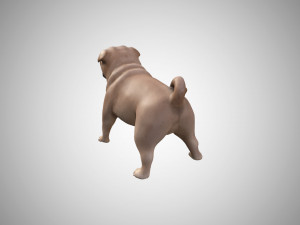 3d low poly rigged pug 3Dモデル