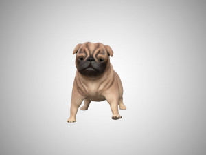3d low poly rigged pug 3Dモデル