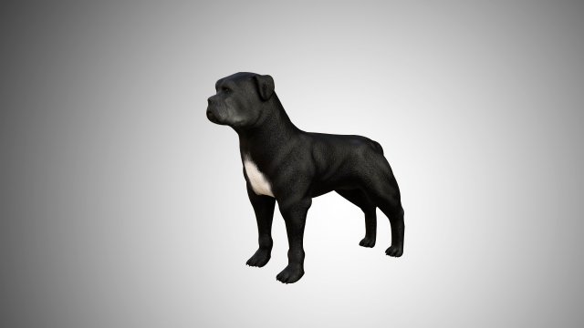 low poly rigged pitbull Modèle 3D .c4d .max .obj .3ds .fbx .stl .blend