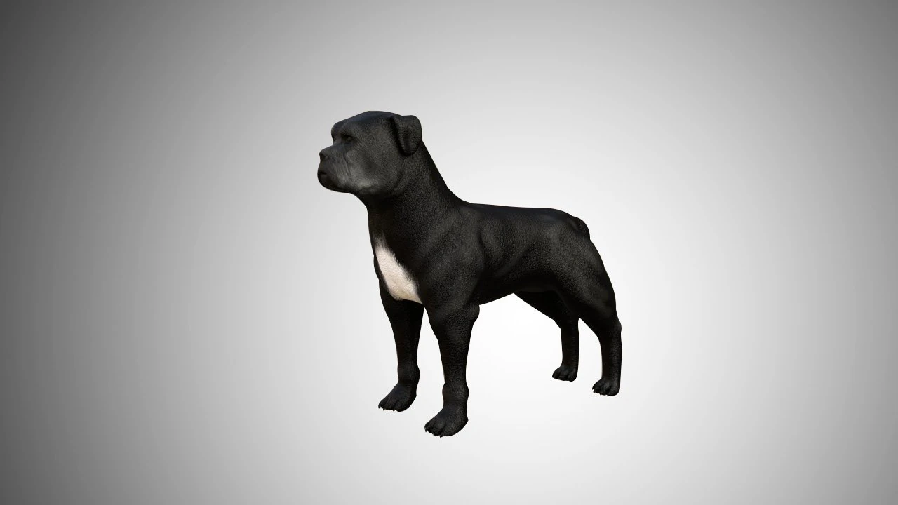 low poly rigged pitbull 3D Model .c4d .max .obj .3ds .fbx .stl .blend