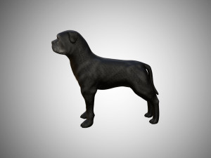 low poly rigged pitbull 3D Model