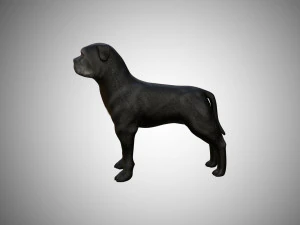 low poly rigged pitbull 3D Model