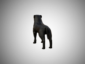 low poly rigged pitbull 3D Model