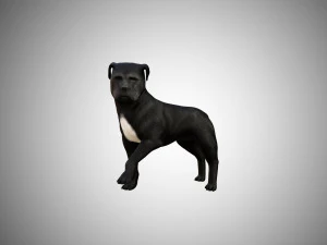 low poly rigged pitbull 3D Model