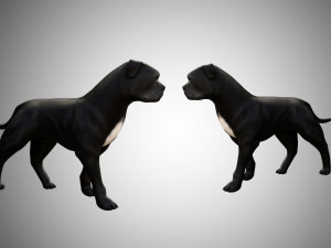 low poly rigged pitbull 3D Model