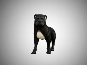 low poly rigged pitbull 3D Model