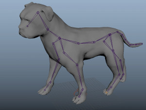 low poly rigged pitbull 3D Model