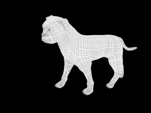 low poly rigged pitbull 3D Model