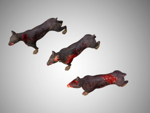 3d zombie dog collection 3D Model