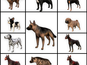 dog low poly rigged collection 3D Модель
