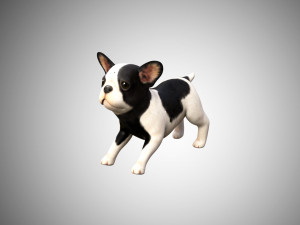 dog low poly rigged collection 3D Модель