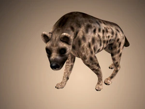 dog low poly rigged collection 3D Model