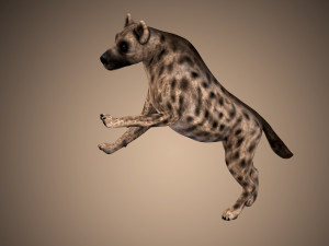 dog low poly rigged collection 3D Модель