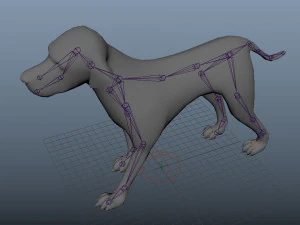dog low poly rigged collection 3D Model