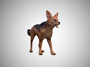 dog low poly rigged collection 3D Модель