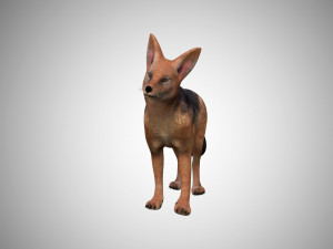 dog low poly rigged collection 3D Модель