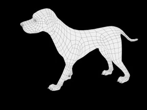 dog low poly rigged collection 3D Model