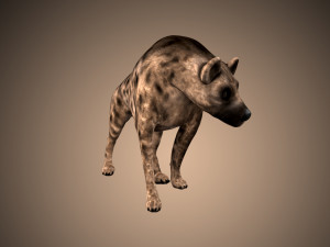 dog low poly rigged collection 3D Модель