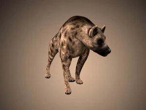 dog low poly rigged collection 3D Model