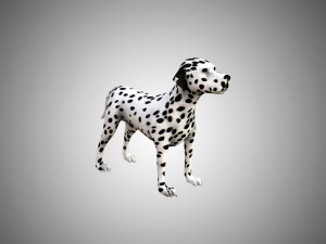 dog low poly rigged collection 3D Модель