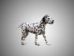 dog low poly rigged collection 3D Модель