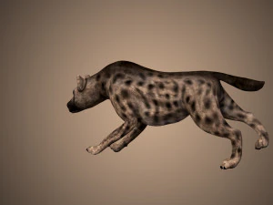 dog low poly rigged collection 3D Model