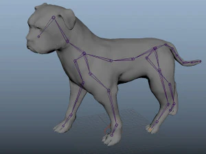 dog low poly rigged collection 3D Model