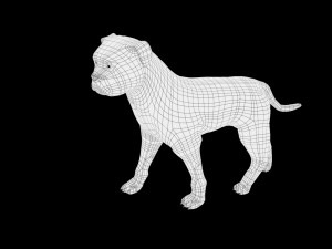 dog low poly rigged collection 3D Модель