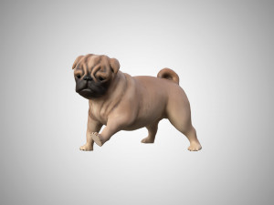 dog low poly rigged collection 3D Модель