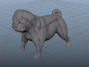 dog low poly rigged collection 3D Model