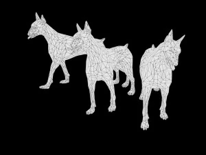 dog low poly rigged collection 3D Model