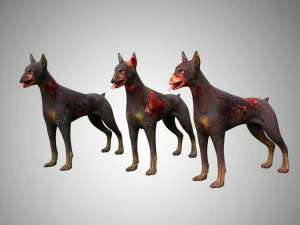 dog low poly rigged collection 3D Model